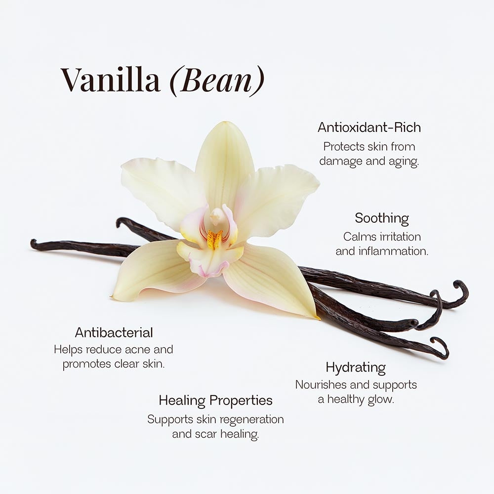 Beauty of Holiness Tallow Balm with Vanilla Bean