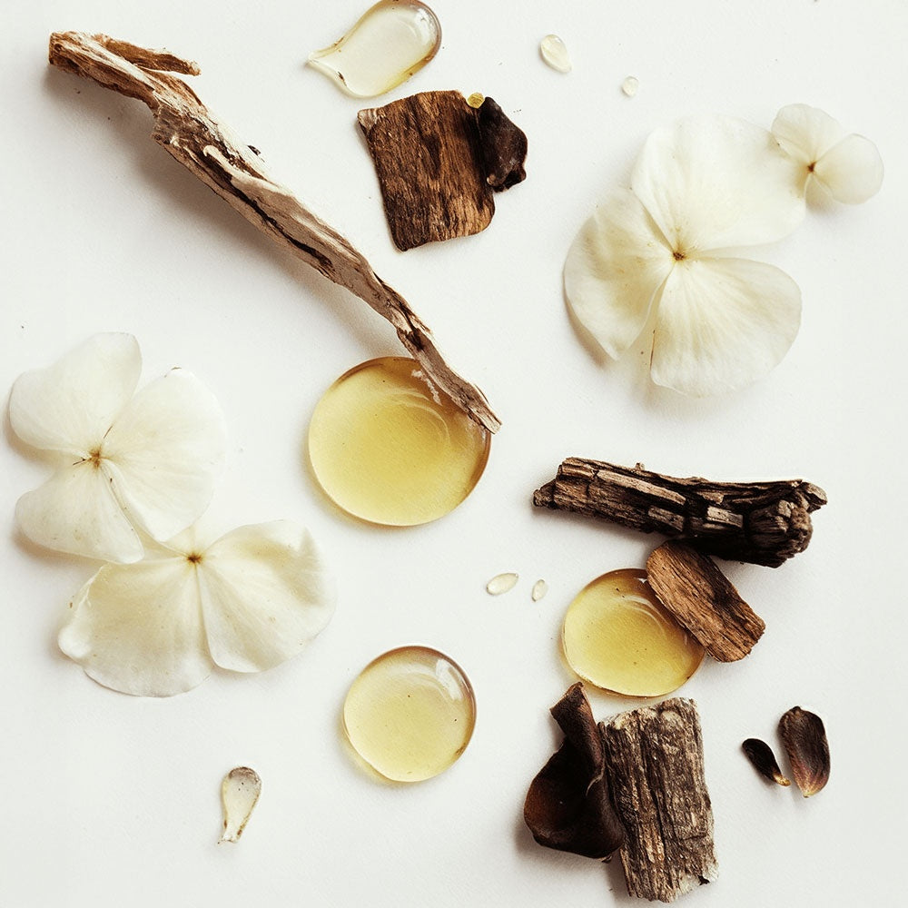 Beauty of Holiness Tallow Balm with Vanilla Bean