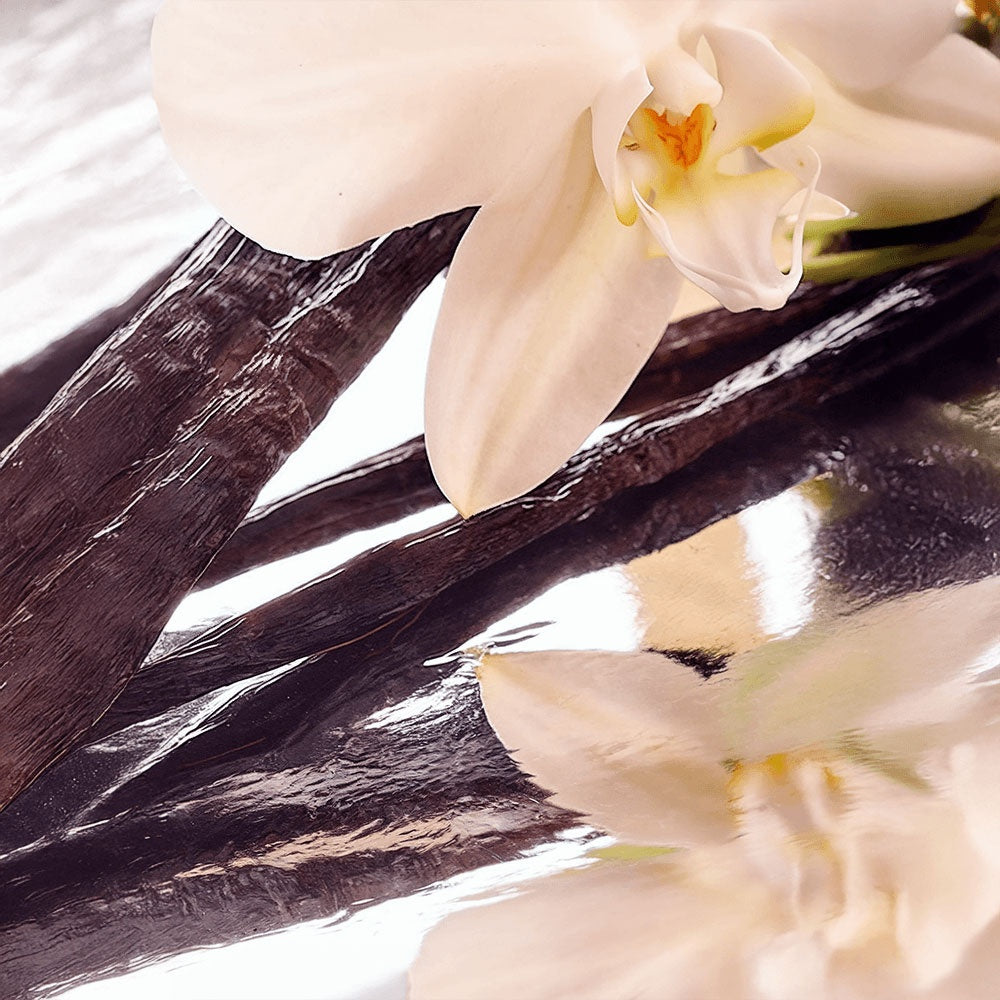 Beauty of Holiness Tallow Balm with Vanilla Bean