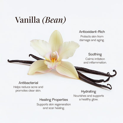 Beauty of Holiness Tallow Balm with Vanilla Bean